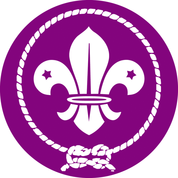 Datei:WOSM Logo.gif