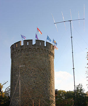 Wiki front 5.jpg