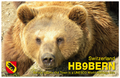 Vorschaubild der Version vom 4. Juli 2011, 06:30 Uhr